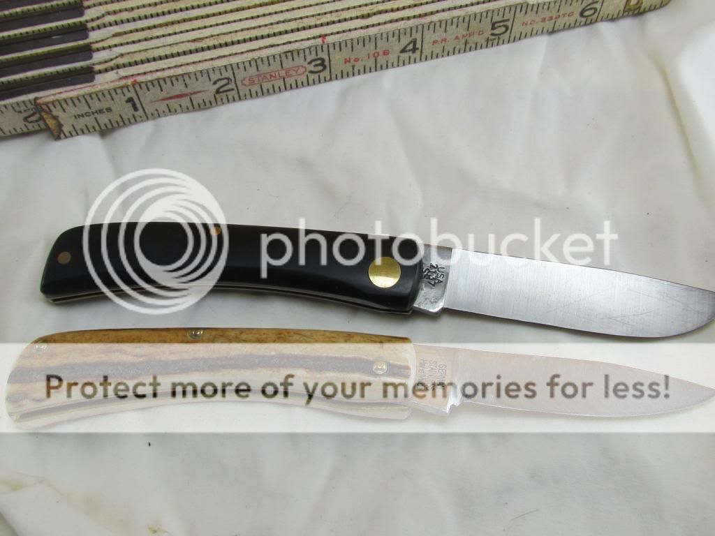 IMG_4766_zpse17c8eda.jpg