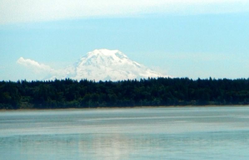 DSCF0441.jpg