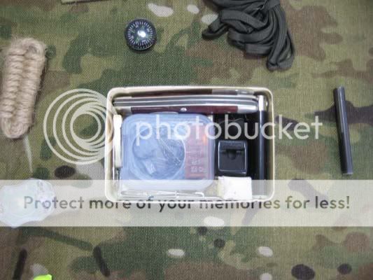 IMG_1295sm.jpg