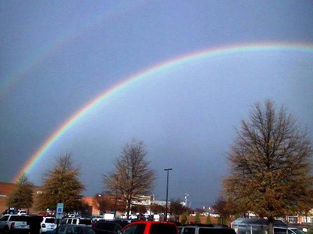 rainbow-web.jpg