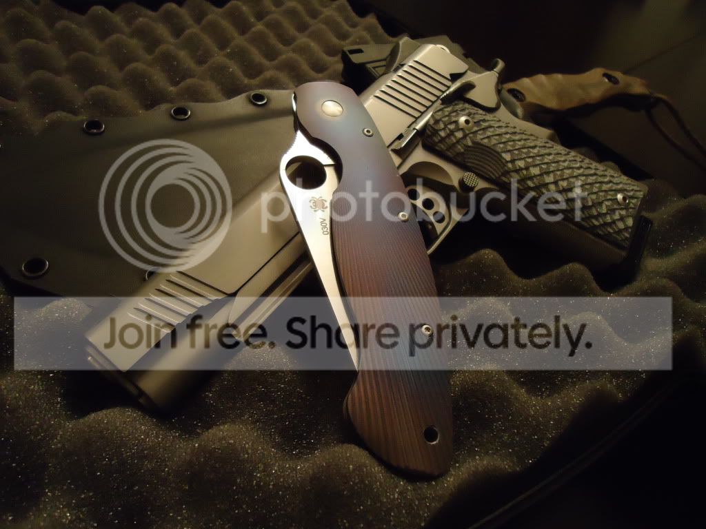 gunsandknives43011054.jpg