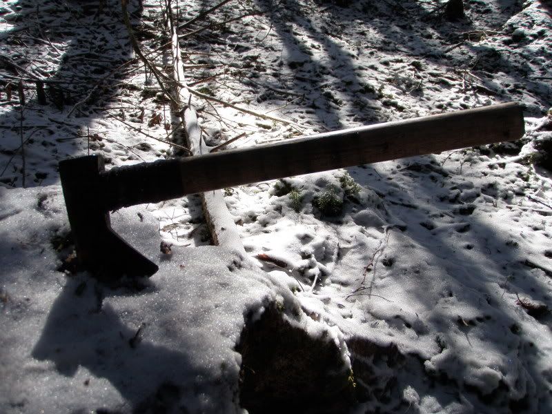 P3261300.jpg