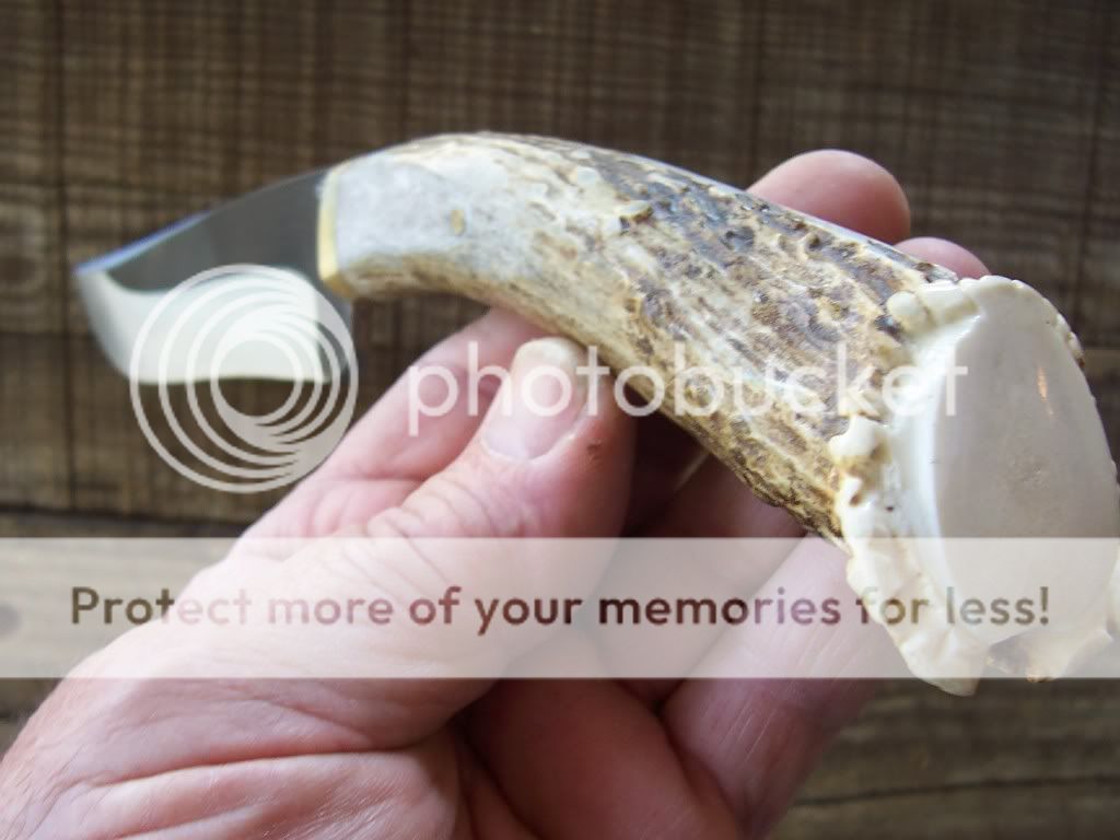 bladeforums05011.jpg
