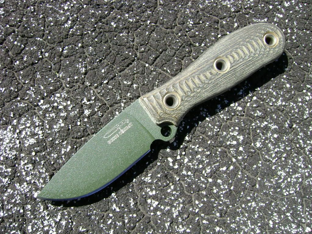 2400.jpg
