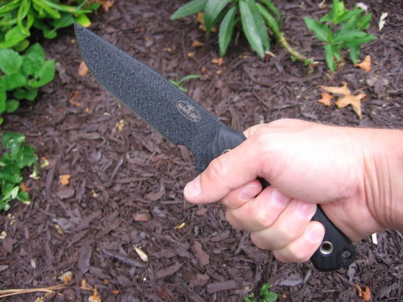 BlackRMDinhand2.jpg