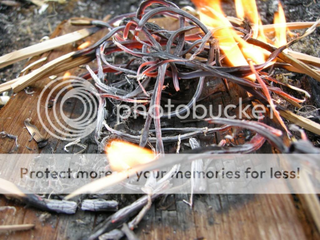 FireContest088.jpg