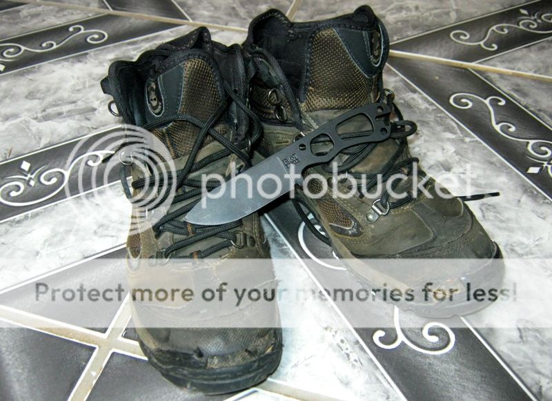 IMG_0154_zps8b646200.jpg