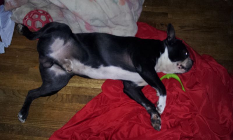 20130423_173645.jpg