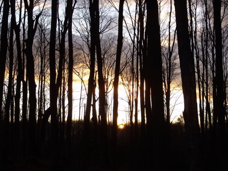 Sunsetwalk021.jpg