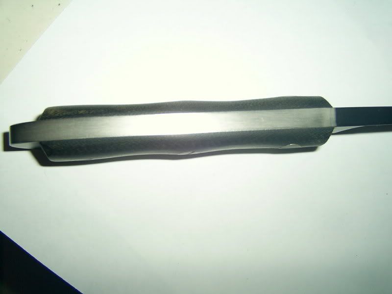 ebaypics443.jpg