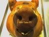 pigheadbig.jpg
