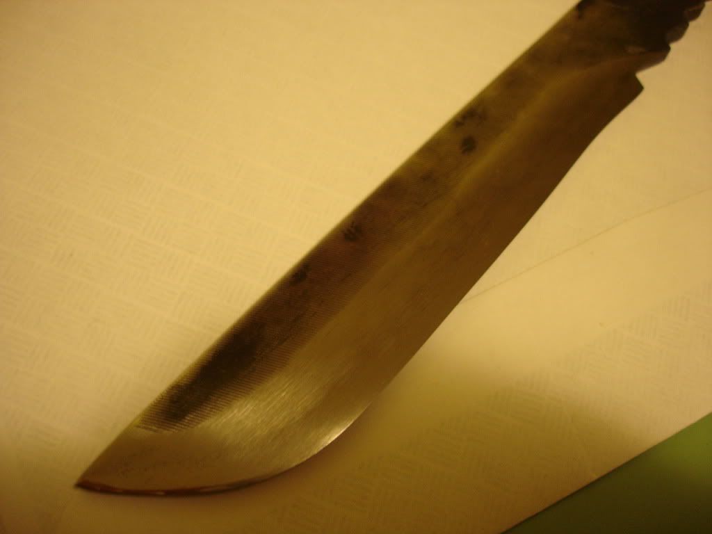 DSC03282.jpg