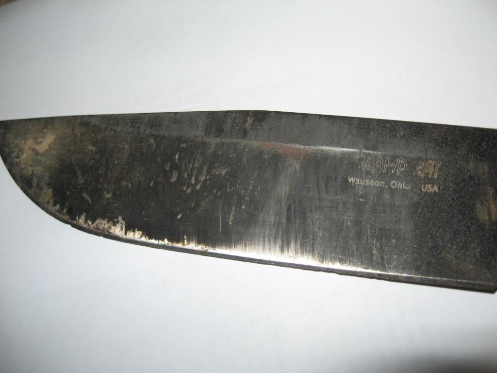 Cody002-2.jpg