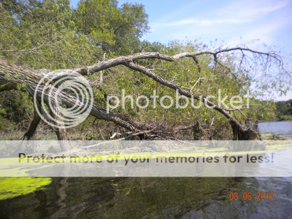 DSCN1246.jpg