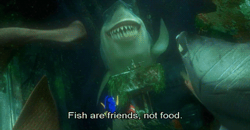 tumblr_m1vz9avOCU1r27miro1_500.gif