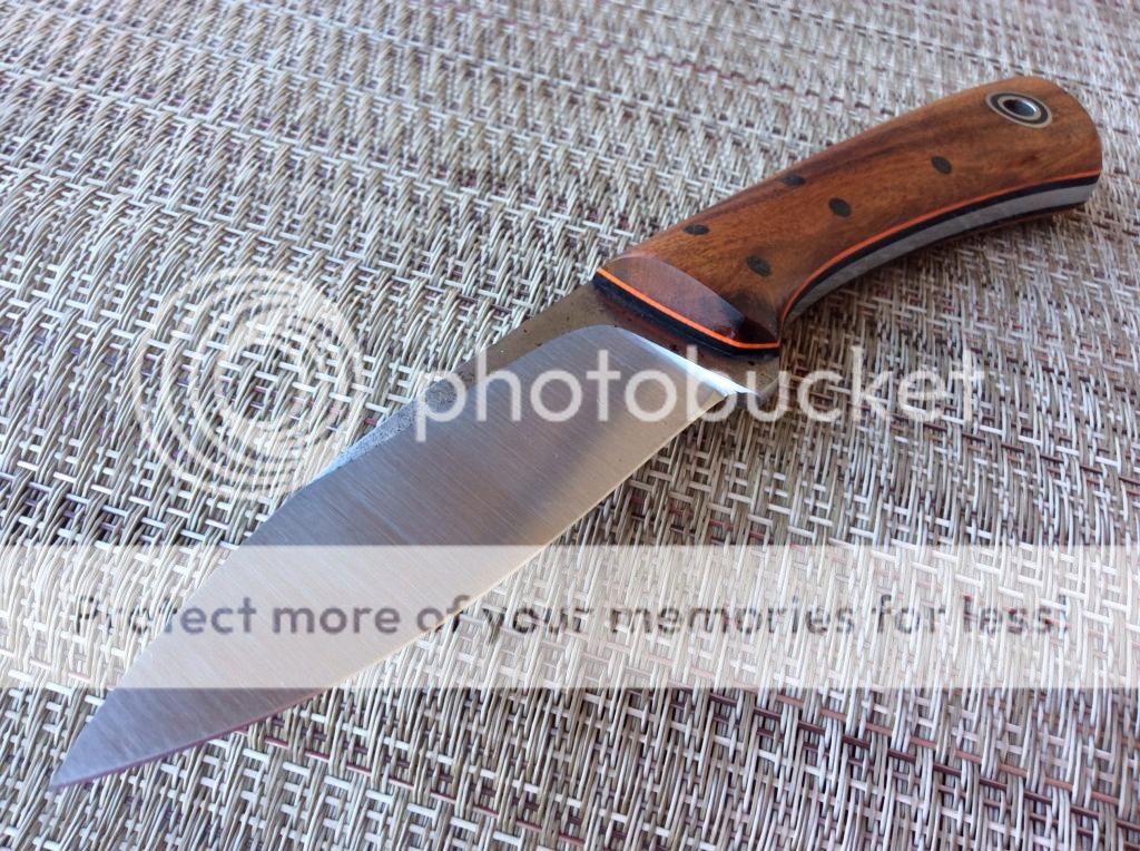 image_zps1e188bcc.jpg