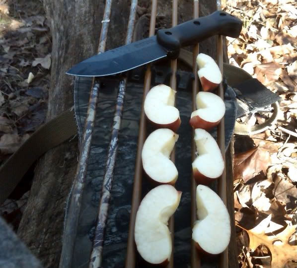 20101126_ac_04.jpg