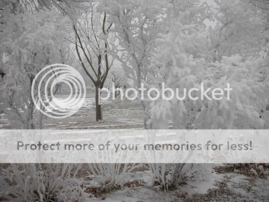 DSCN1758.jpg