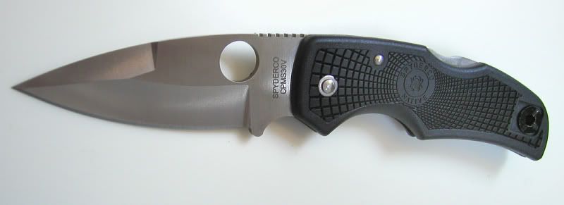 SpydercoNative_1.jpg