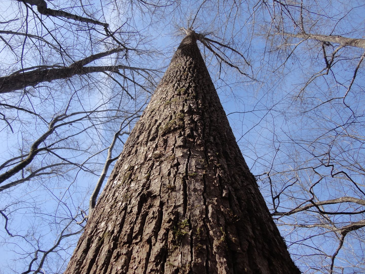 DSC08291_zpsu64dfbcx.jpg