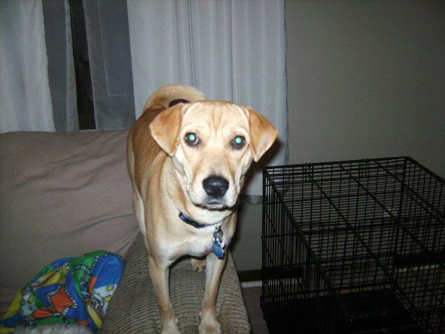 ConnieCamera150.jpg
