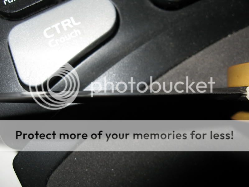 IMG_2143_resize.jpg