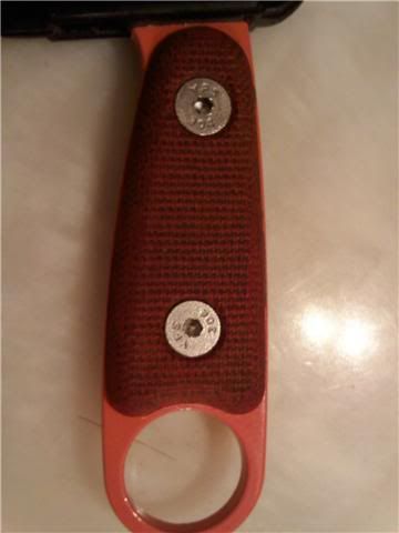 orangescales.jpg