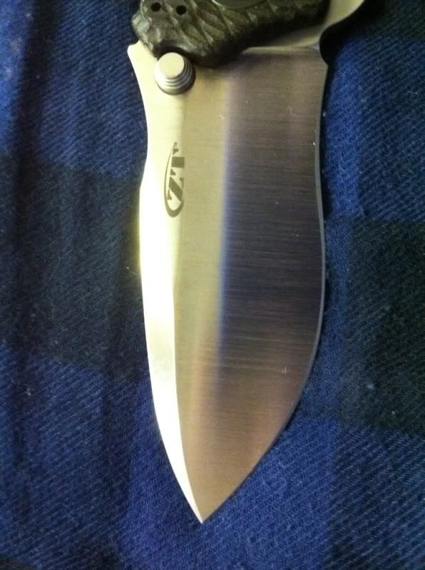 c251fcbb.jpg