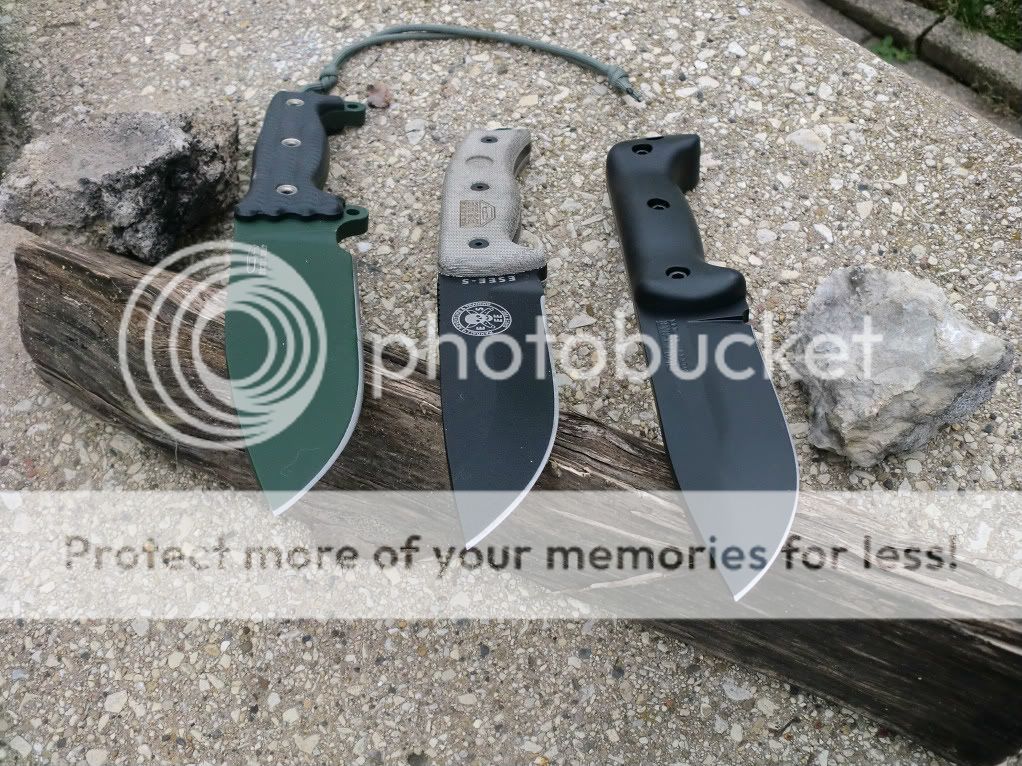 CIMG9465.jpg
