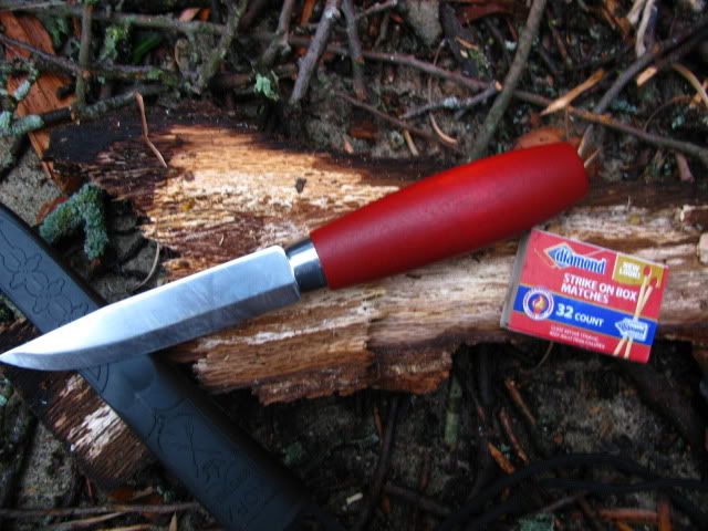 Mora2005.jpg