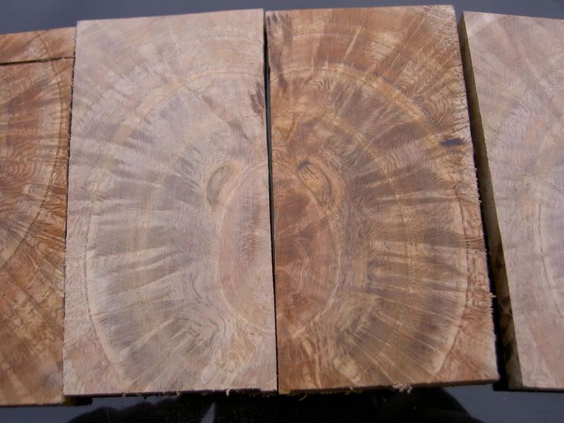 burl1.jpg