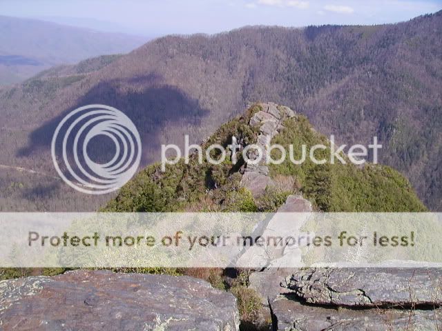 PICT0260.jpg