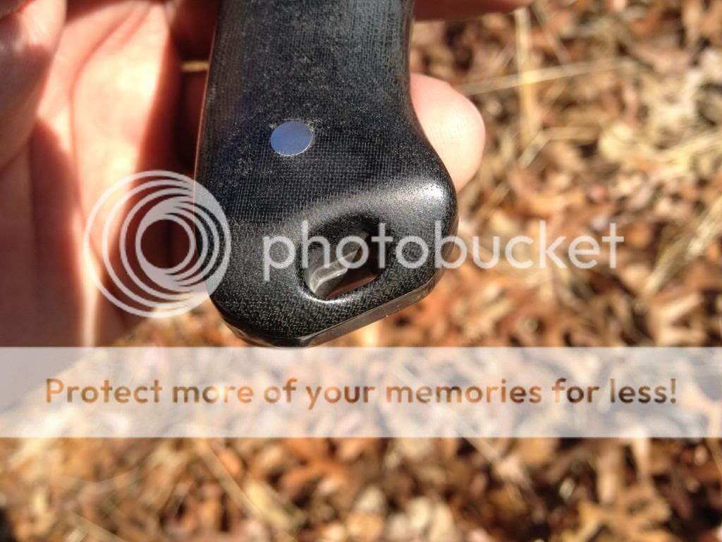 IMG_7588_zps1e354bf1.jpg