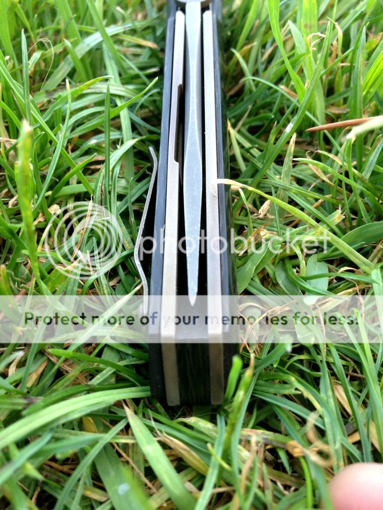 photo1_zpsa8dcd808.jpg