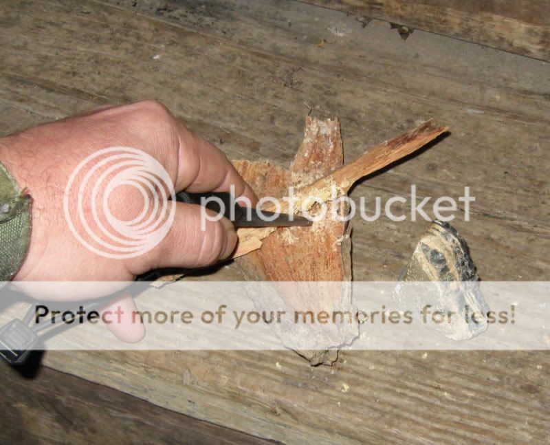 IMG_8957.jpg
