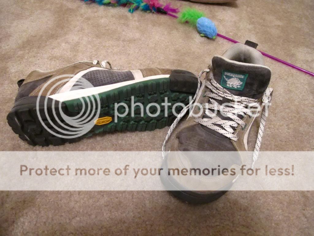 IMG_1795_zpsb1f6ec29.jpg