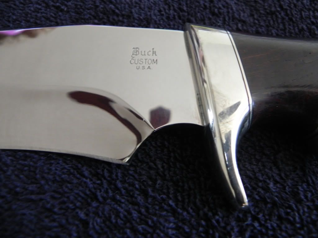 Bowie5.jpg