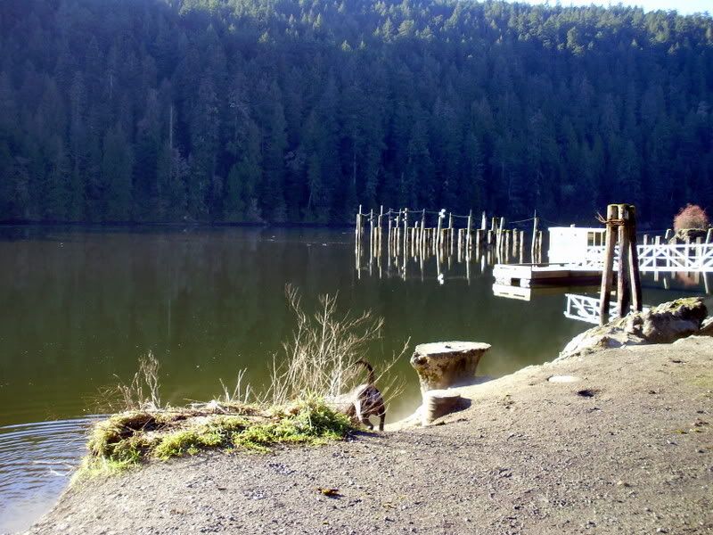 P1180001.jpg