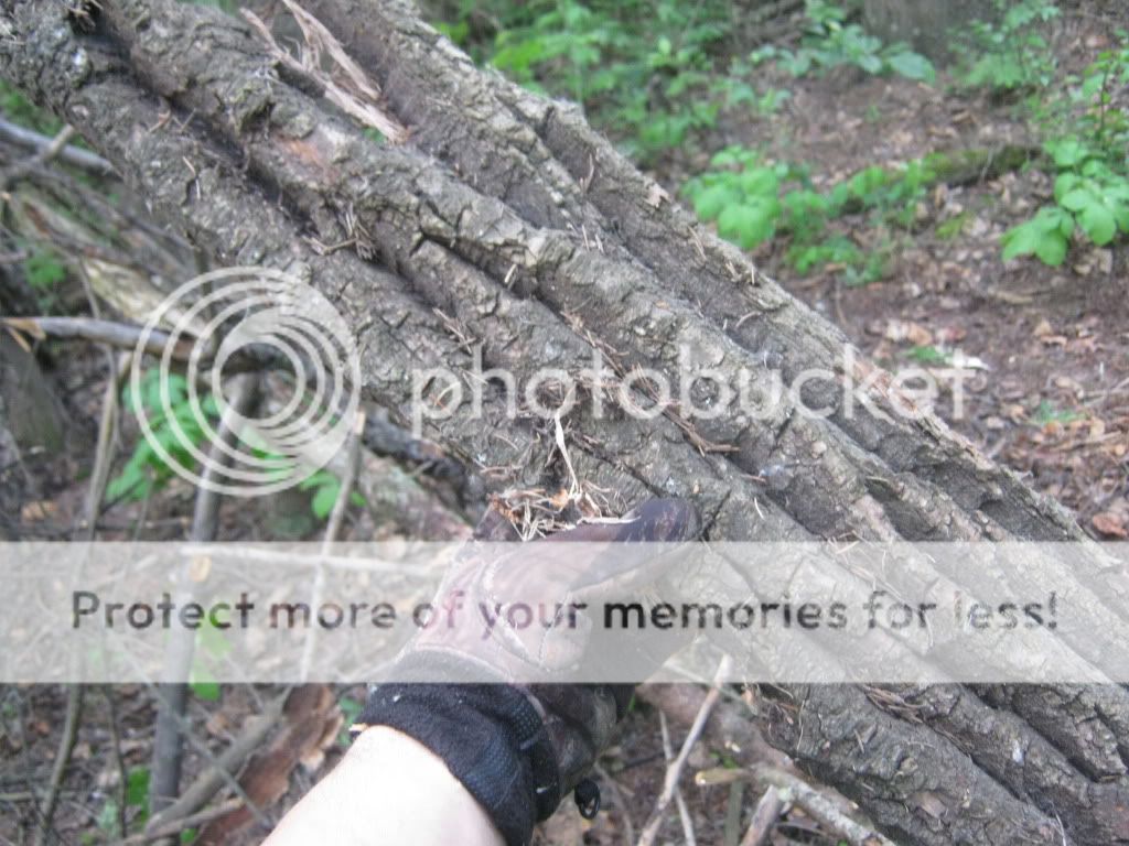 june192010021.jpg