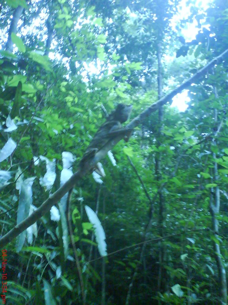 DSC01715.jpg