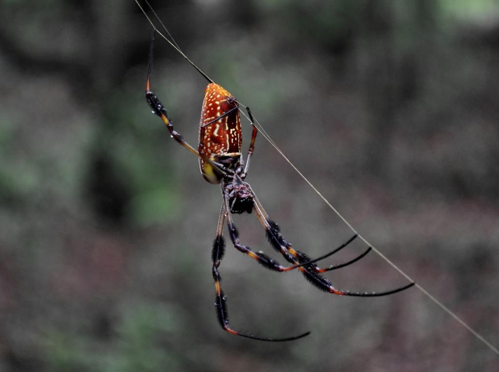 DSC_2035.jpg