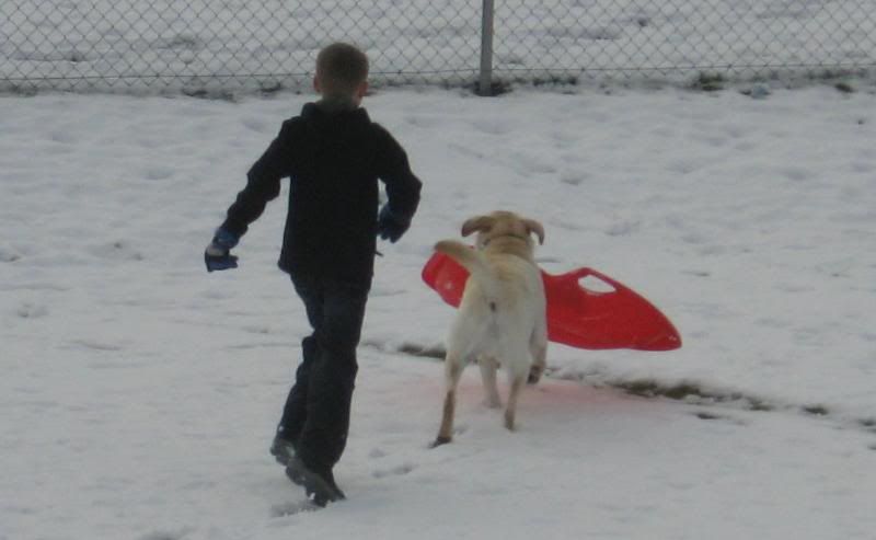 Sledding010309004.jpg