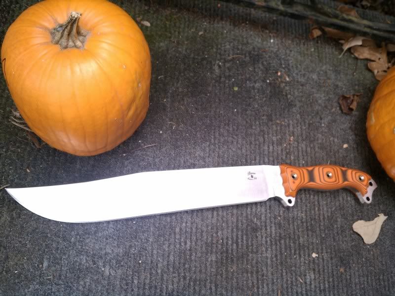 IMAG0456.jpg