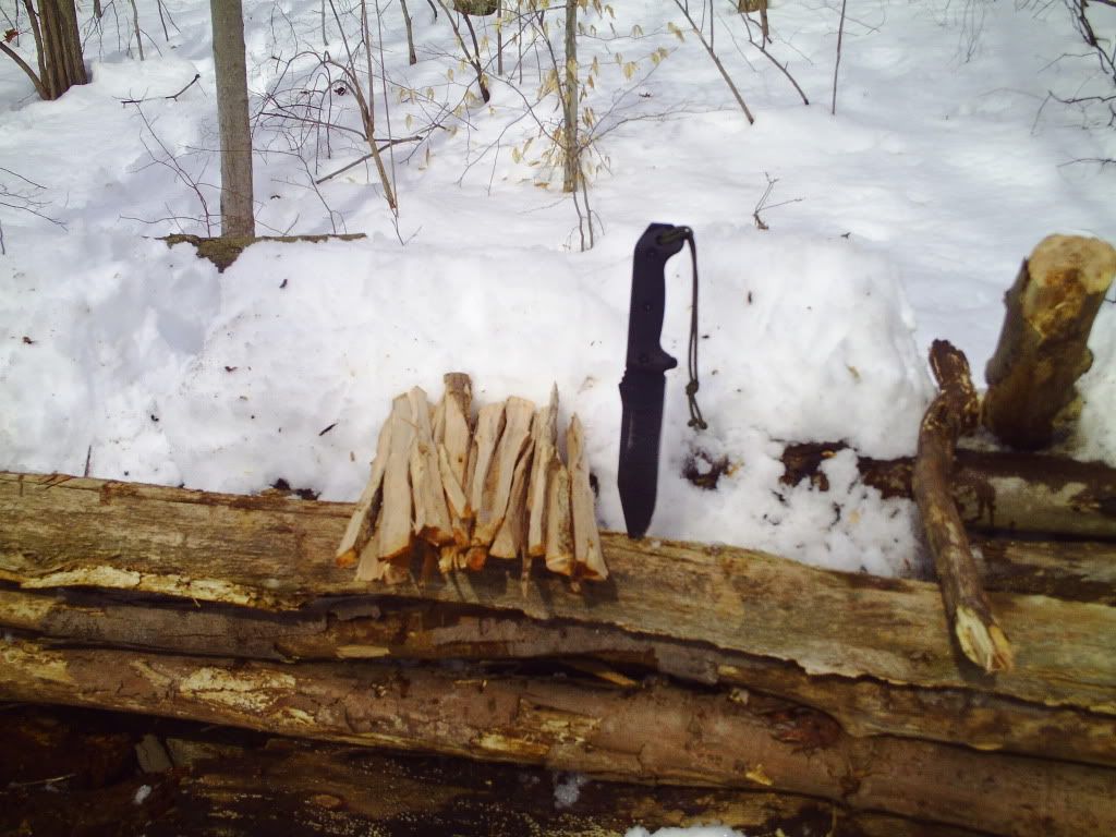 outdoors104.jpg
