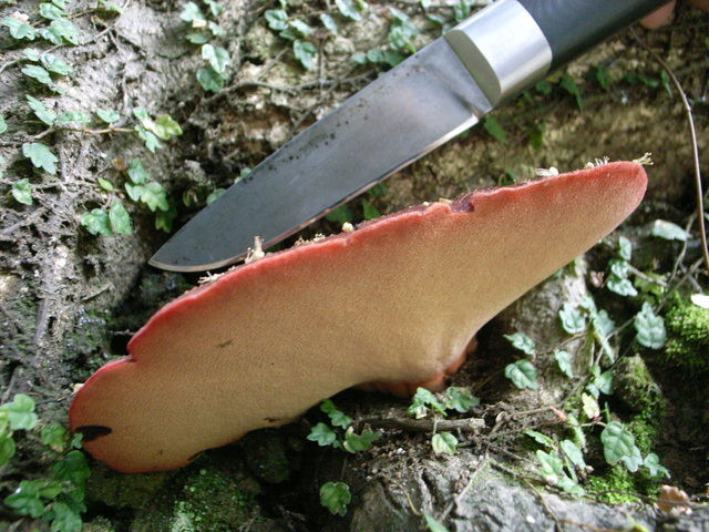 2011.05.30.R0024053.JPG