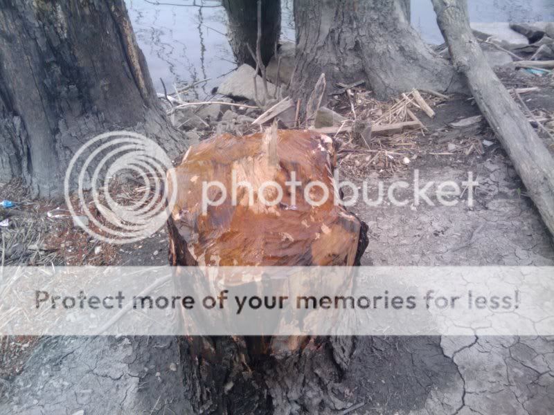 32710hike18.jpg