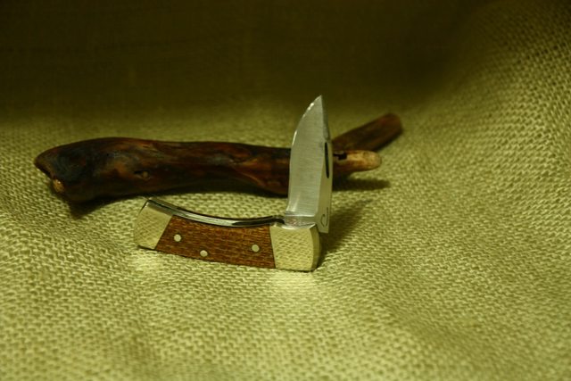 p3WzAUPl.jpg
