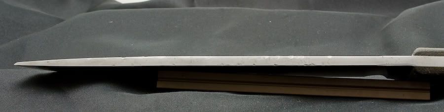 IMG_3295spine.jpg
