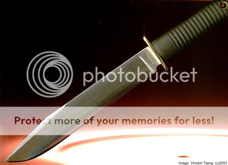 TetonBowie_S.jpg