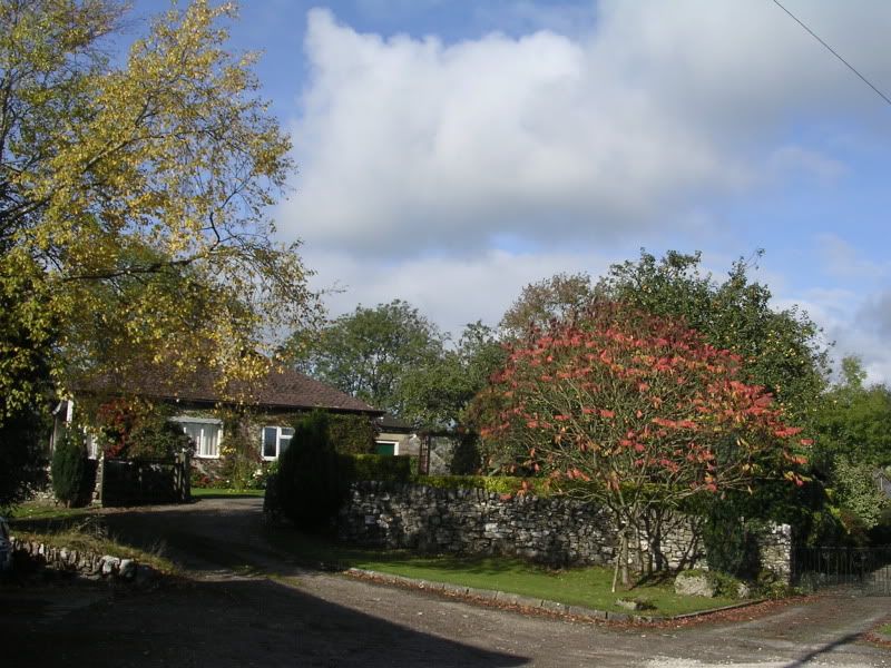 DSCN2913.jpg
